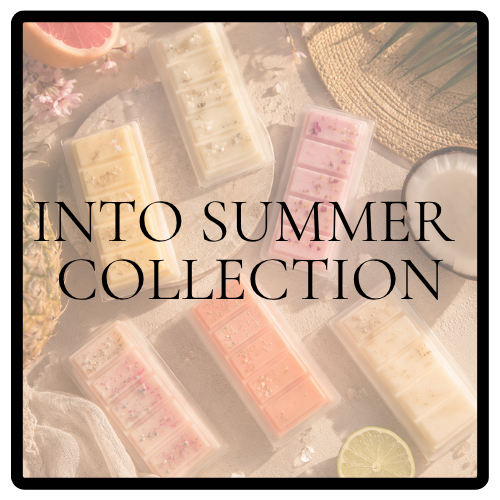 THE INTO SUMMER COLLECTION