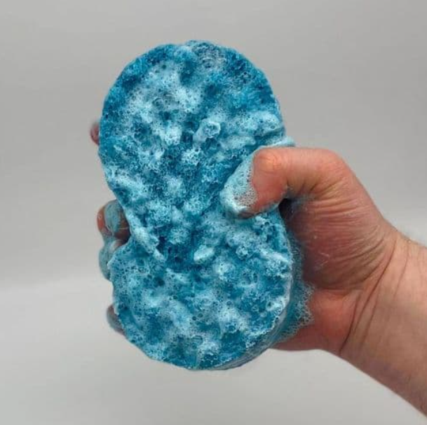 SOAP SPONGES