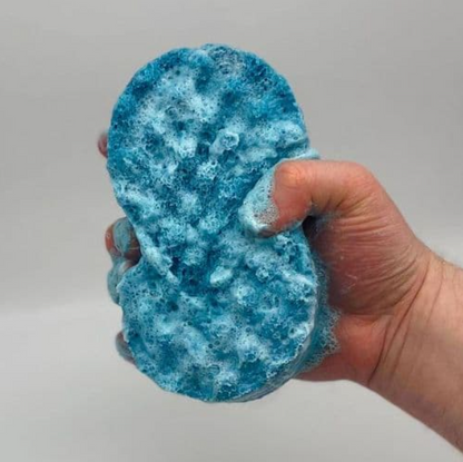 SOAP SPONGES