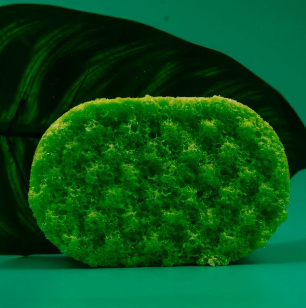 SOAP SPONGES