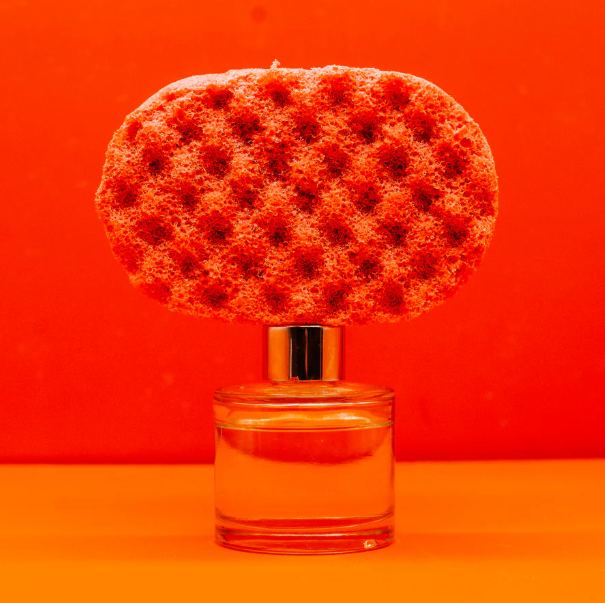 SOAP SPONGES