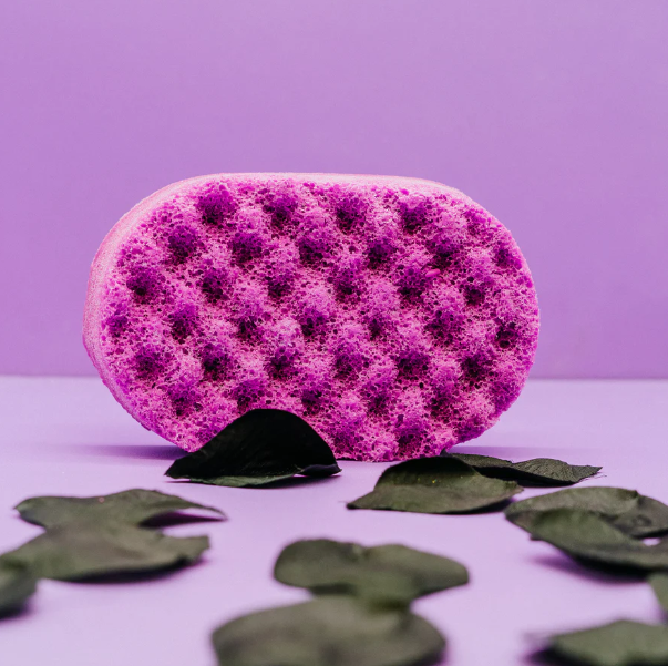 SOAP SPONGES