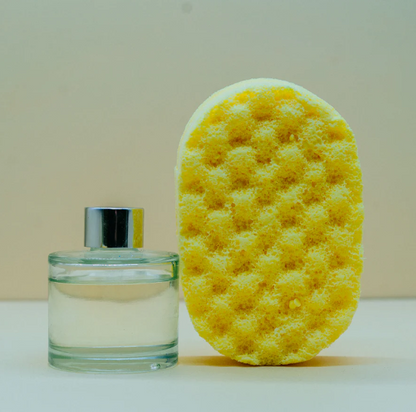SOAP SPONGES
