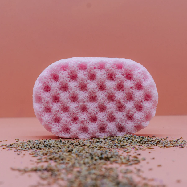 SOAP SPONGES