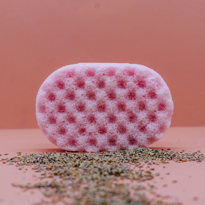 SOAP SPONGES