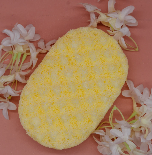 SOAP SPONGES