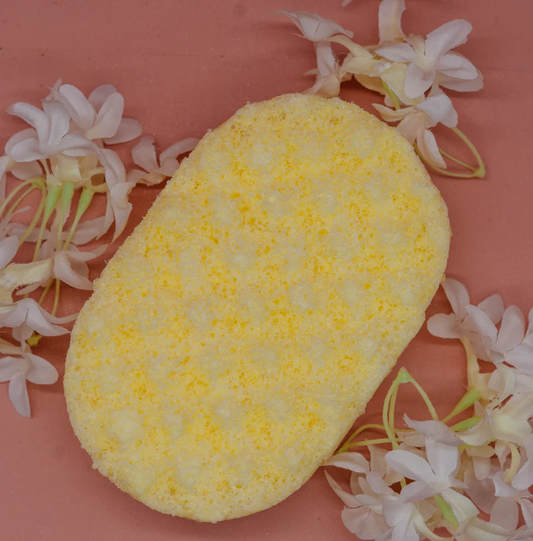 Mini Soap Sponges