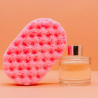SOAP SPONGES