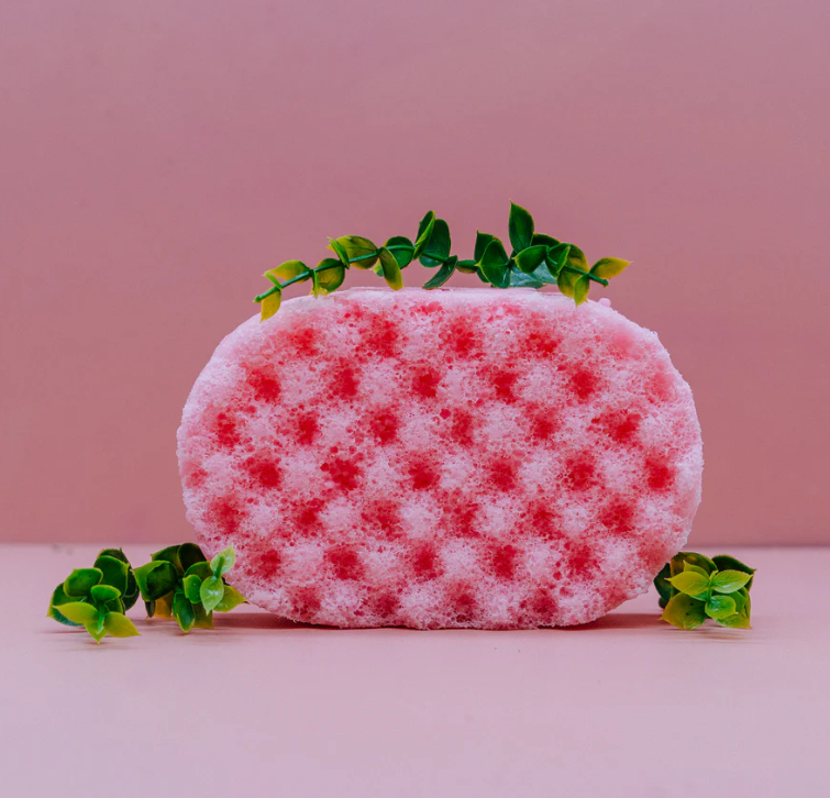 SOAP SPONGES