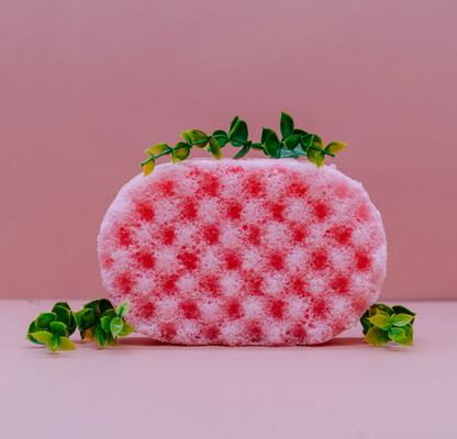 SOAP SPONGES