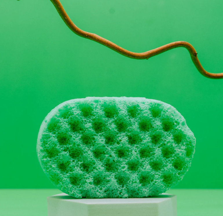 SOAP SPONGES