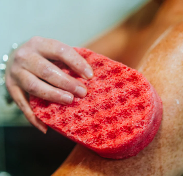 Soap Sponges