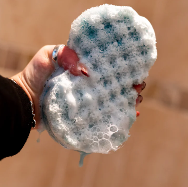 Soap Sponges