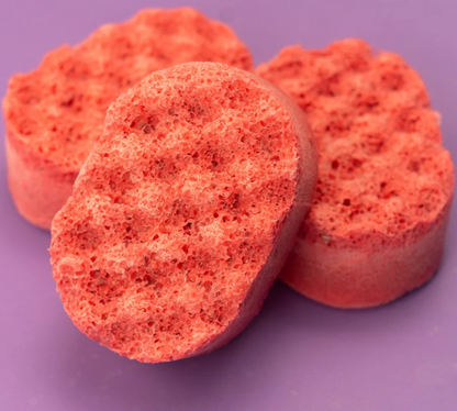 Mini Soap Sponges
