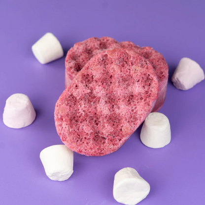 Mini Soap Sponges