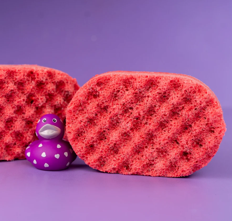 Soap Sponges