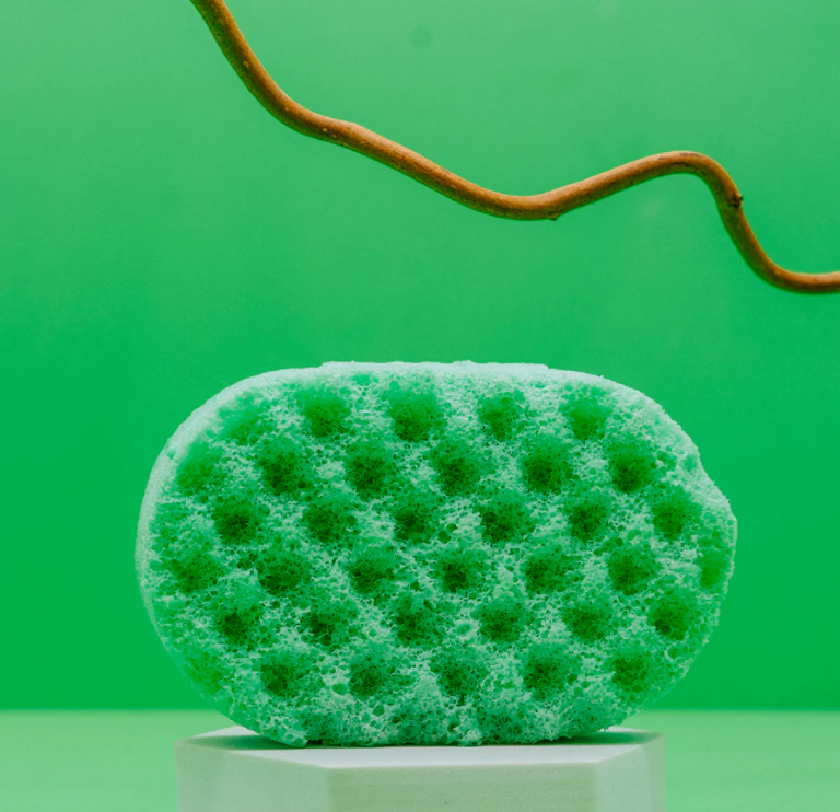Soap Sponges